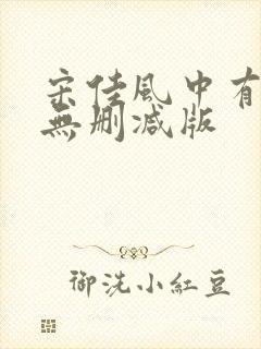 宋佳风中有朵雨无删减版