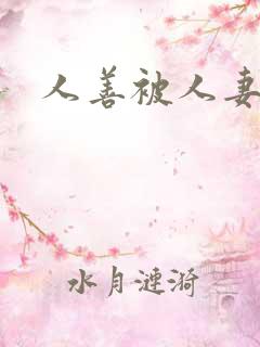 人善被人妻小说