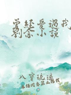曾经爱过我林伟刘念小说 曾经爱过我林伟刘念小说