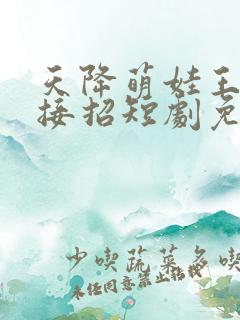天降萌娃王爷请接招短剧免费观看