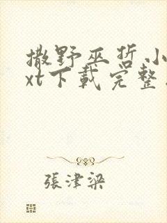 撒野巫哲小说txt下载完整版