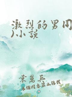 激烈的男同(h)小说