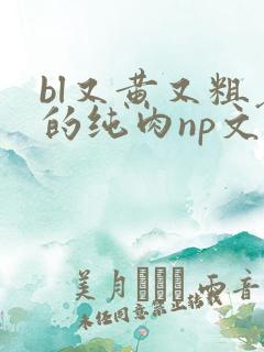 bl又黄又粗暴的纯肉np文