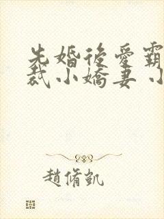 先婚后爱霸道总裁小娇妻 小说