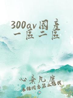 300av国产一区二区
