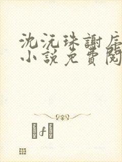 沈沅珠谢序川的小说免费阅读全文