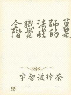 全职法师莫凡超阶觉醒的是哪个系