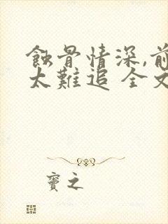 蚀骨情深,前妻太难追 全文