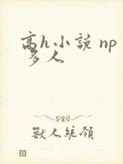 高h小说 np 多人