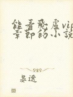 能看飞卢vip章节的小说软件