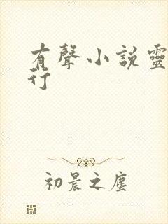有声小说灵棺夜行