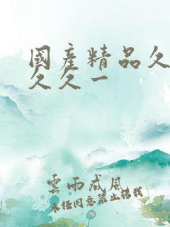 国产精品久久久久久一