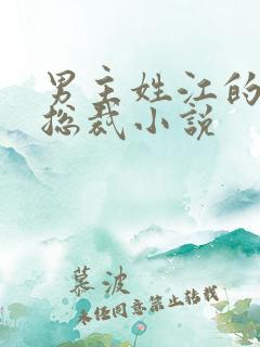 男主姓江的现代总裁小说
