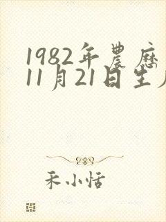 1982年农历11月21日生辰八字