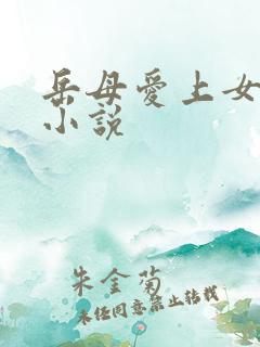 岳母爱上女婿的小说