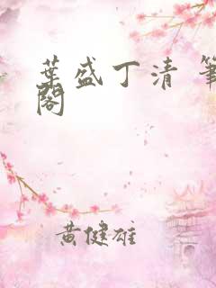 叶盛丁清 笔趣阁