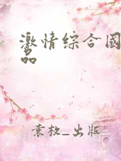 激情综合国产精品
