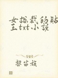 女总裁的贴身兵王txt小说