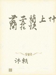 君子兰上什么肥开花快