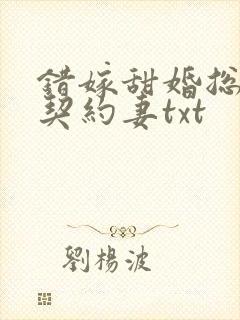 错嫁甜婚总裁的契约妻txt 错嫁甜婚总裁的契约妻txt
