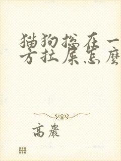 猫狗总在一个地方拉屎怎么办