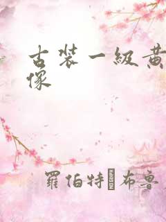古装一级黄色录像