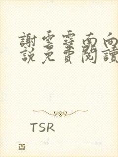 谢云霆南向晚小说免费阅读全文最新
