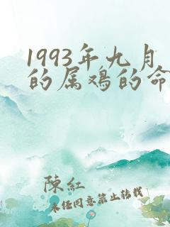 1993年九月的属鸡的命运
