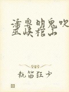 潘粤明鬼吹灯之巫峡棺山