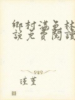 乡村满色林瑶小说免费阅读全文正版