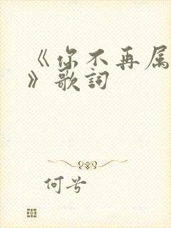 《你不再属于我》歌词