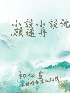小说小说沈明月,顾远舟