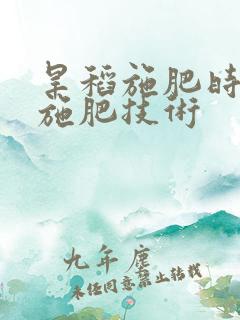 旱稻施肥时间与施肥技术