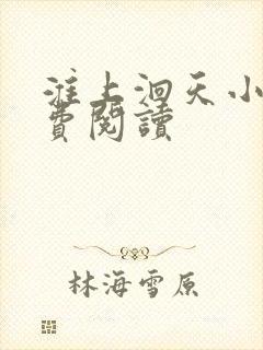 淮上洄天小说免费阅读