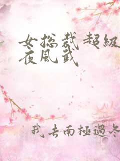 女总裁超级兵王夜风武