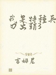 我是特种兵之利刃出鞘3