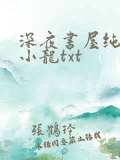 深夜书屋纯洁滴小龙txt