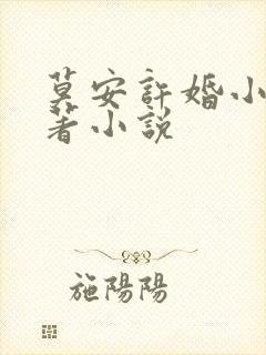 莫安许婚小说原著小说