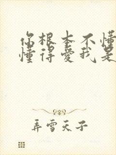 你根本不懂得不懂得爱我是什么歌