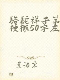 骆驼祥子第六章梗概50字左右