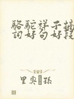 骆驼祥子摘抄好词好句好段及感悟 骆驼祥子摘抄好词好句好段及感悟