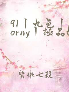 91丨九色丨porny丨极品tm