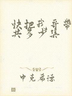 快把我哥带走一共多少集