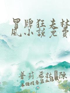 冒牌狂夫林悦顾风小说免费阅读