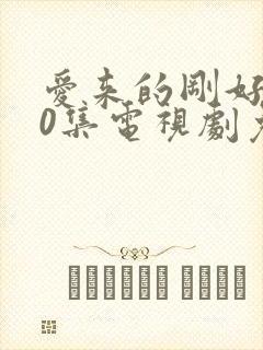 爱来的刚好第60集电视剧免费观看