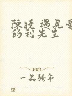 陈晓 遇见爱情的利先生