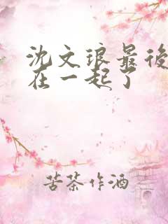 沈文琅最后和谁在一起了