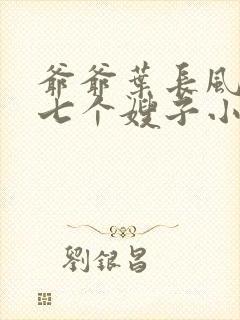 爷爷叶长风叶凡七个嫂子小说