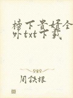榜下贵婿全文番外txt下载