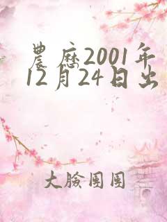农历2001年12月24日出生八字